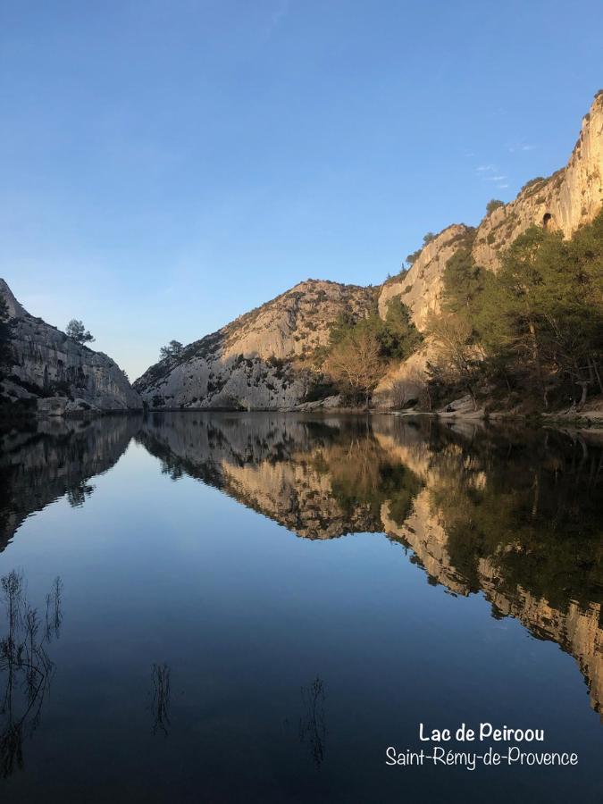 Terrasse Sur Les Alpilles Daire Saint-Rémy-de-Provence Dış mekan fotoğraf